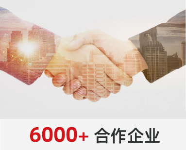 6000+ 合作企业