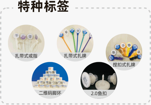 特种标签